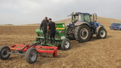 Sivas'ta 5 yeni ekmeklik buğday tohumu toprakla buluştu