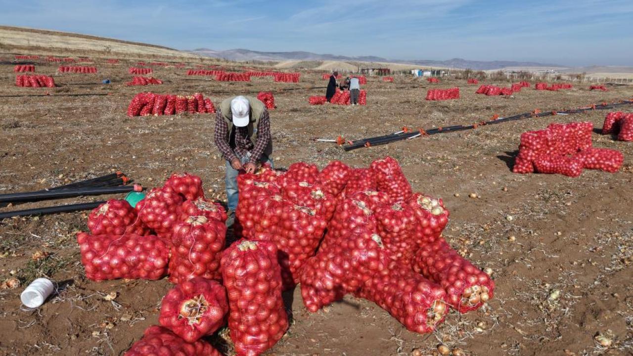 Soğan üreticisinden &quot;suyu dikkatli kullanalım&quot; çağrısı