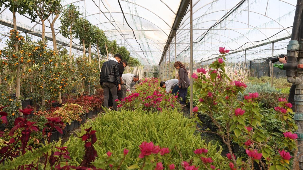 Alım garantisi ile 10 yılda 28 milyon süs bitkisi ürettiler