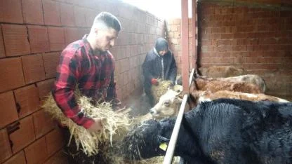 Almanya'da "robot" olacağına Karadeniz'de "çoban" oldu