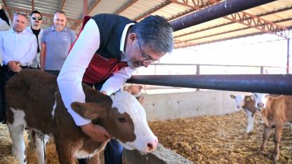 Bakan Yumaklı: Kırmızı ette ithalat, piyasa regülasyonu için