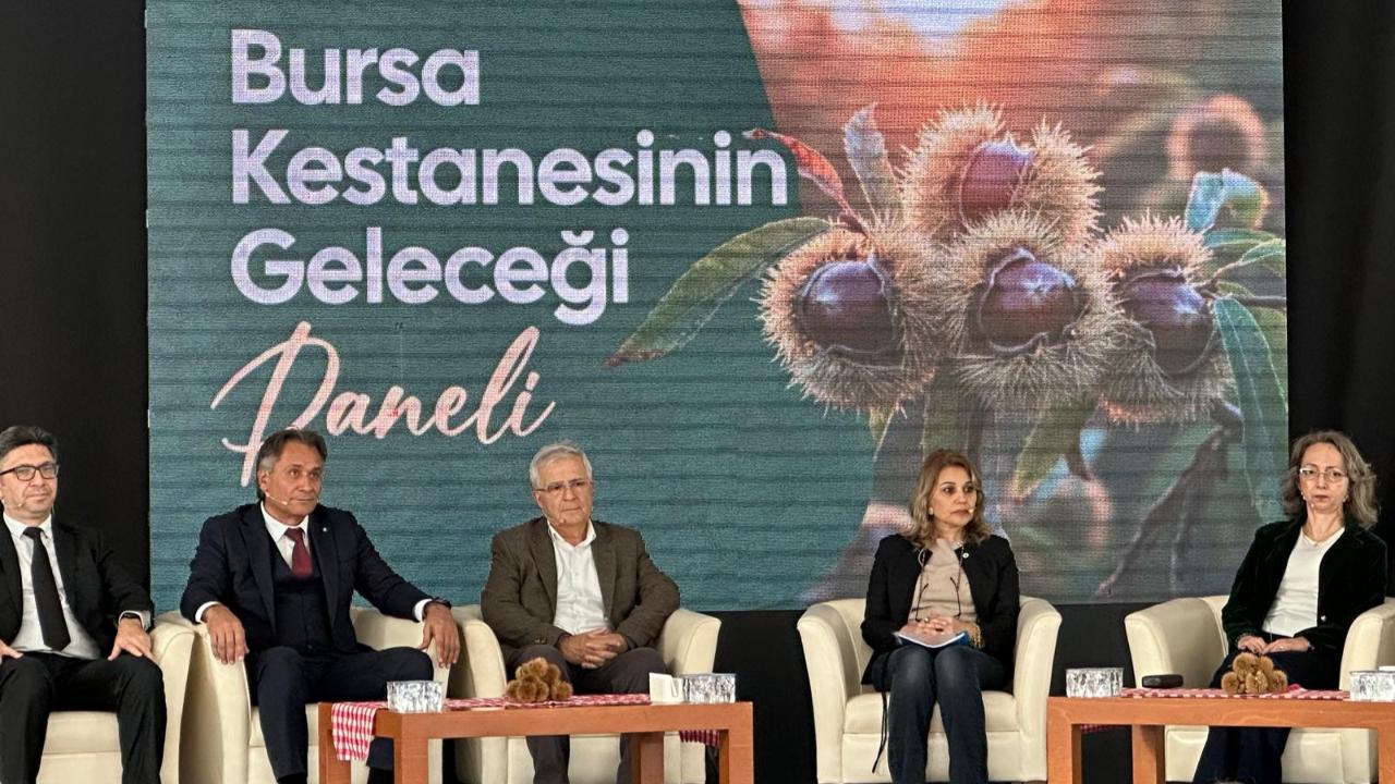 Bursa kestanesinin geleceği konuşuldu