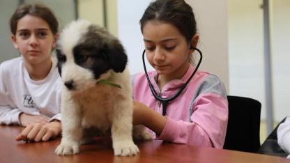 Bursa'da çocuklar "bir günlüğüne veteriner hekim" oldu