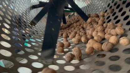 Cevizle kaderi değişen köyde İstanbullular da bahçe kuruyor