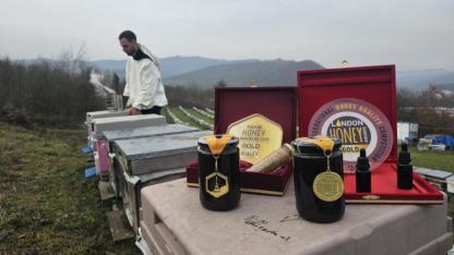 Dünyanın en kaliteli "kestane balı"nı ürettiler