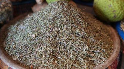 Faydası saymakla bitmiyor dağdan toplanıp çayı yapılıyor