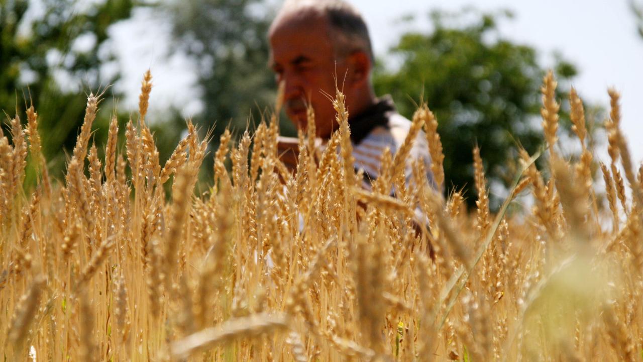 Genel tarım sayısı ve ÇKS için son günler