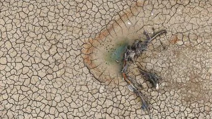 Gölbaşı göleti sulak alan özelliğini kaybetmek üzere