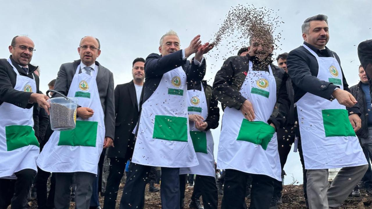 Harmancık&#039;ta yanan 4 bin 256 hektar alan ağaçlandırılıyor