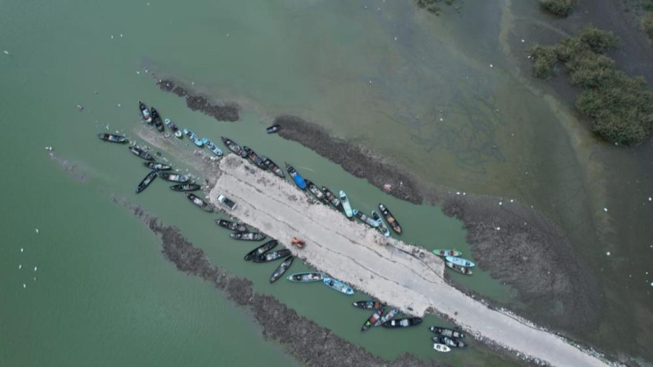 Karacabey&#039;de çeltik ekimi yasaklandı