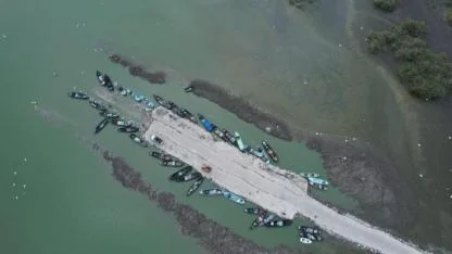 Karacabey'de çeltik ekimi yasaklandı