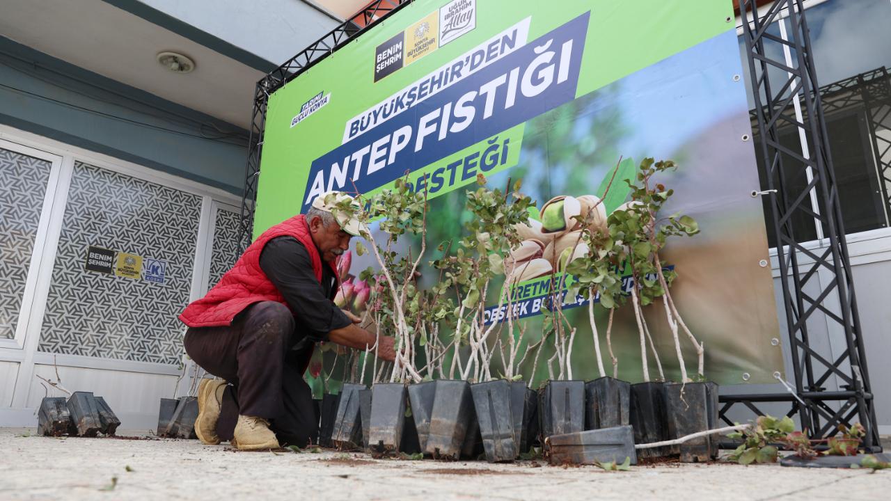 Konya Büyükşehir&#039;in Antep fıstığı desteği 4 bin 20&#039;ye ulaştı