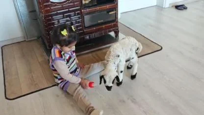 Kuzu ile 3 yaşındaki Ezo'nun arasından su sızmıyor