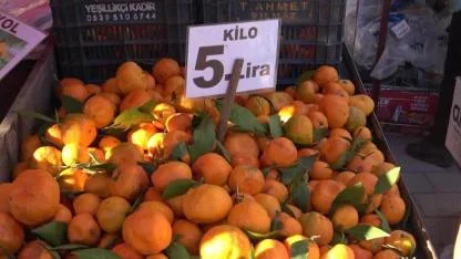 Mandalina Adana pazarında 5 liraya kadar düştü