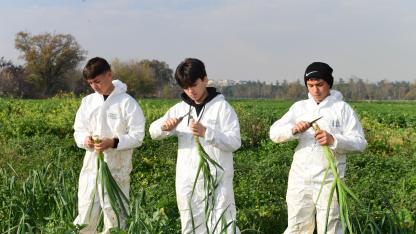 Osmanlı mirası lisenin öğrencileri üretirken öğreniyor