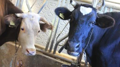 Bakan Yumaklı açıkladı 1 milyar liralık destek bugün hesapta