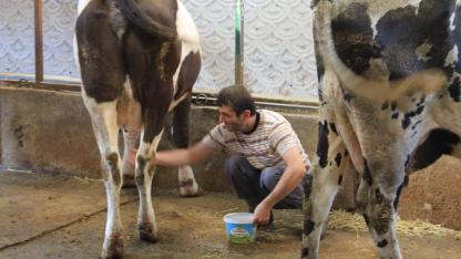 Şap yüzünden böyle oldu üretici enflasyonu yüzde 4,27 arttı