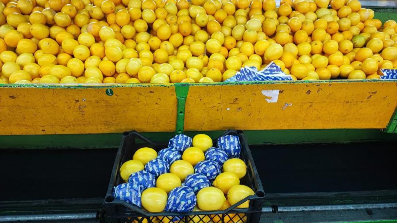 Tarımda yılın fiyat artışı şampiyonu limon oldu