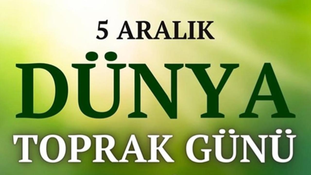 TÜRKYED: Çimento ile kaplanan topraklar karın doyurmaz