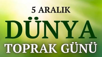 TÜRKYED: Çimento ile kaplanan topraklar karın doyurmaz