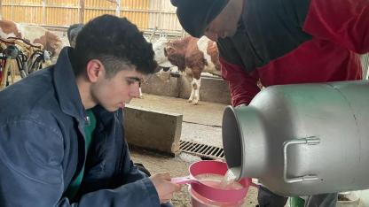 TÜSEDAD çiğ sütün maliyetini 23,77 lira olarak açıkladı