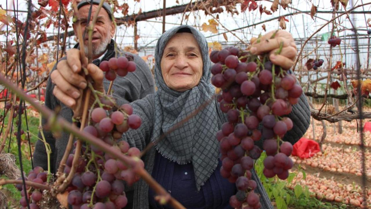 Üretmek isteyenlere 75 yaşındaki kadın çiftçi en iyi örnek