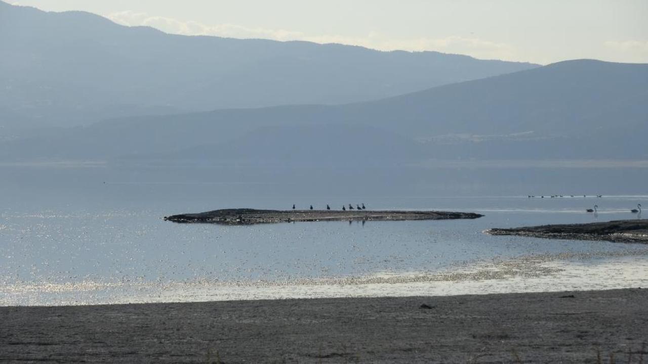 Yapaylarını kurduk doğallarını kurutuyoruz