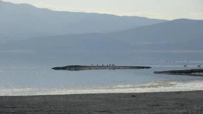 Yapaylarını kurduk doğallarını kurutuyoruz