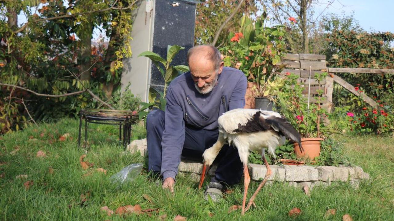 Yuvadan atılan leyleğe sahip çıktı sobalı oda yaptı