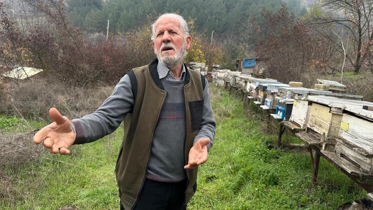 Zirai ilaç yüzünden milyonlarca arısı kovana dönemeden öldü