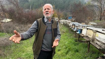 Zirai ilaç yüzünden milyonlarca arısı kovana dönemeden öldü