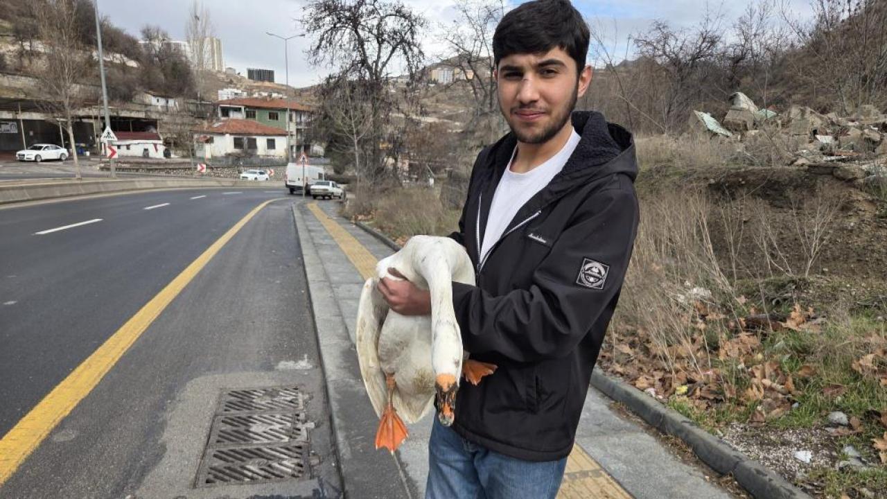 Ankara trafiğinde kovalamacalı "kaz" operasyonu