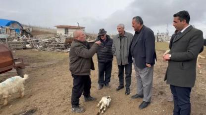Ankaralı besici: Yem pahalı, meralar daraldı, güç kalmadı
