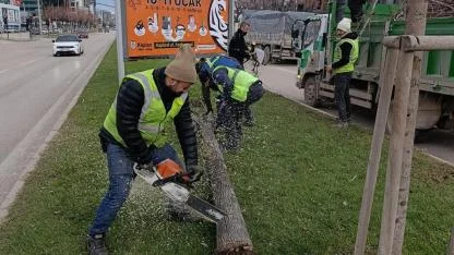 Bursa Büyükşehir'e 50 lodos ihbarı