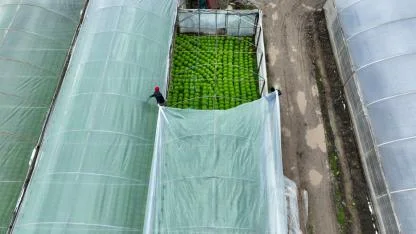 Bursa'da lodostan zarar gören seralara naylon desteği