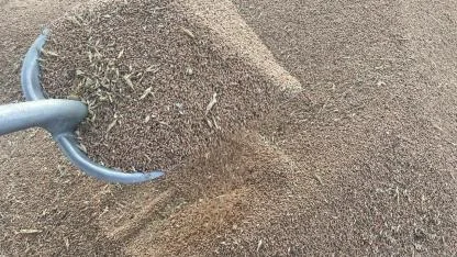 CHP'li Aygun'dan lisanslı depolardaki hırsızlıklara tepki