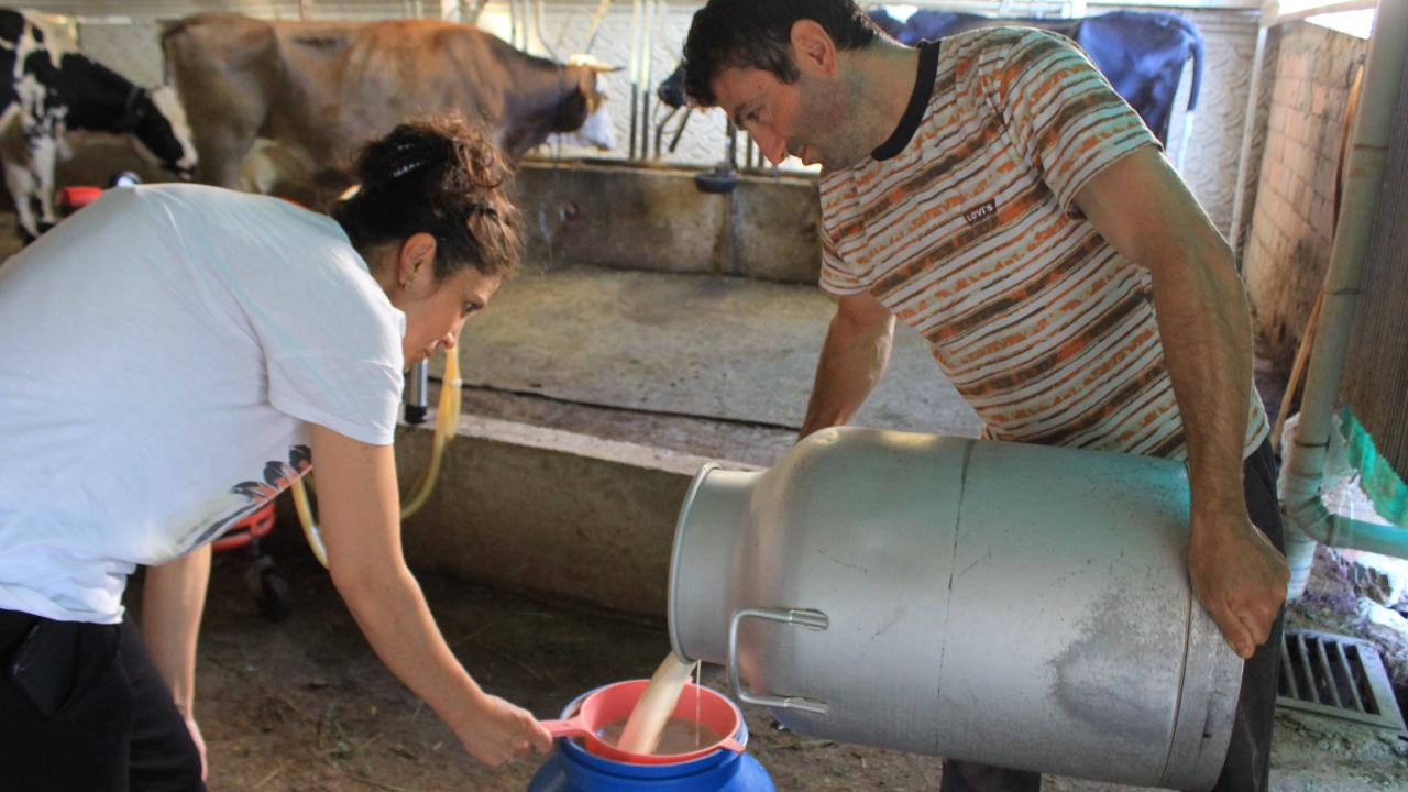 CHP'li Gürer: "Çiğ süt fiyatı, inek kesimini hızlandırır"