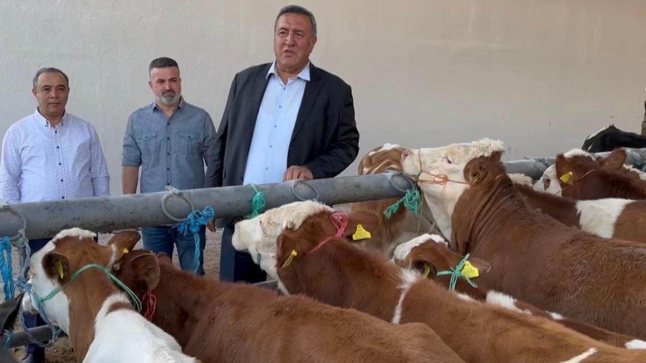 CHP'li Gürer: "Kırmızı et ithalatı 4 yılda 60 kat arttı"