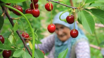 Çiftçi enflasyonu hız kesmiyor
