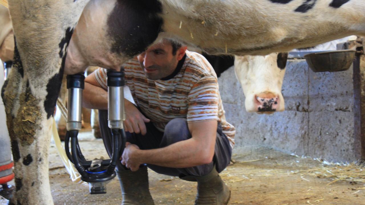 Çiğ süt fiyatı 22,22 lira olarak açıklandı