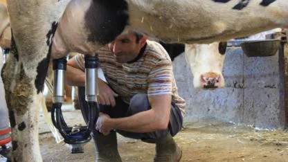 Çiğ süt fiyatı 22,22 lira olarak açıklandı