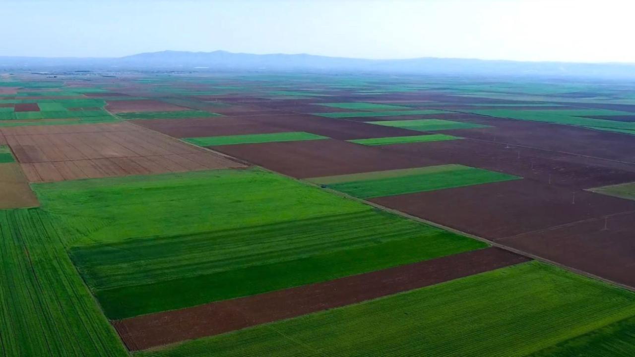 Danıştay karar verdi; Alpu Ovası, tarım alanı olarak kalacak