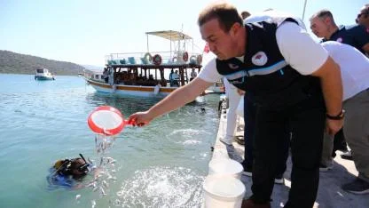 Edirne'de üretildi İstanbul ve Bursa'da sulara bırakıldı