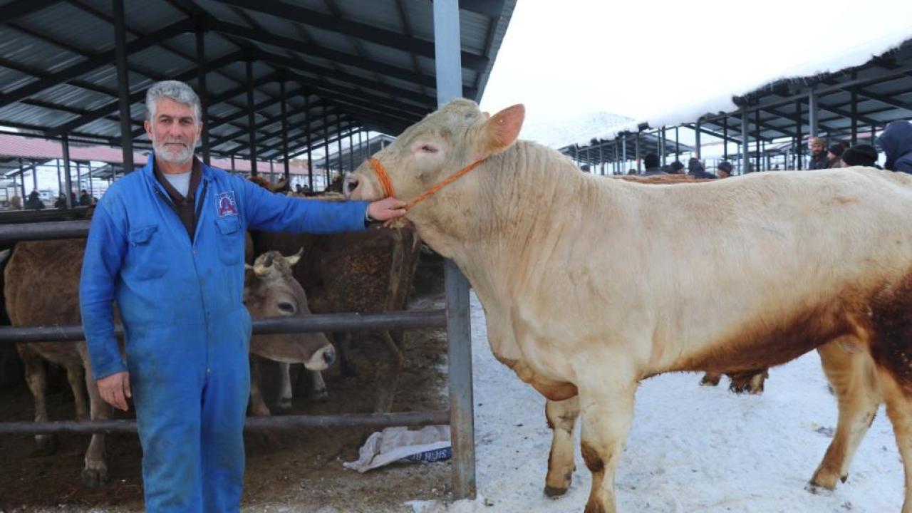Eksi 15 derecede hayvan pazarı kuruldu; ilgi gördü