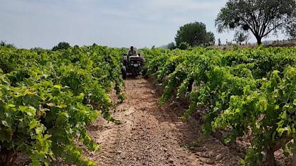 Gediz Ovası'nda 24 bin dekar arazi suya kavuşuyor