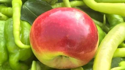 Grip salgını yayılıyor; C vitaminini yanlış besinde aramayın