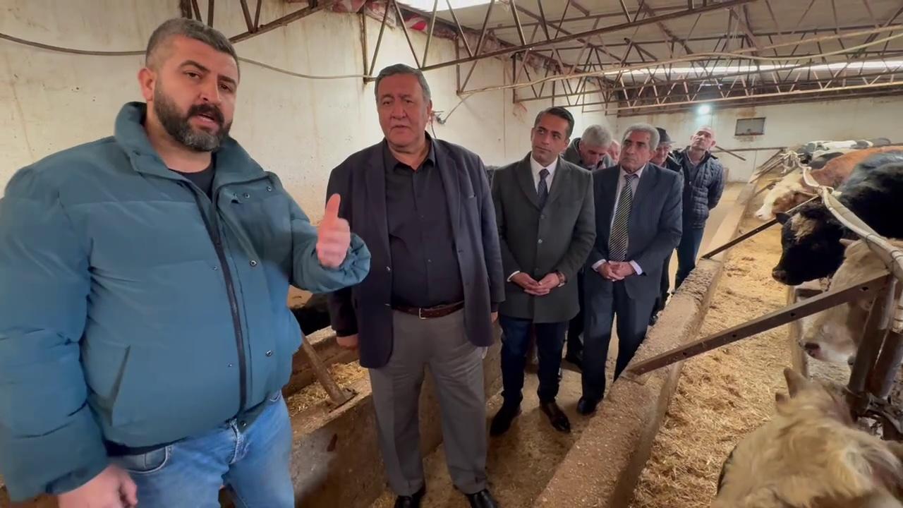 Haymanalı üretici: Köyde hayvan kalmadı çoğu ahır boş