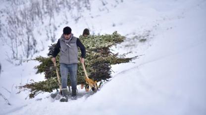 Kızaklarla hayvanlarına 2 kilometre yem taşıyorlar