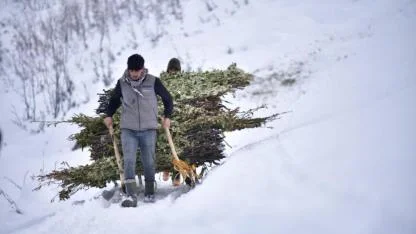 Kızaklarla hayvanlarına 2 kilometre yem taşıyorlar