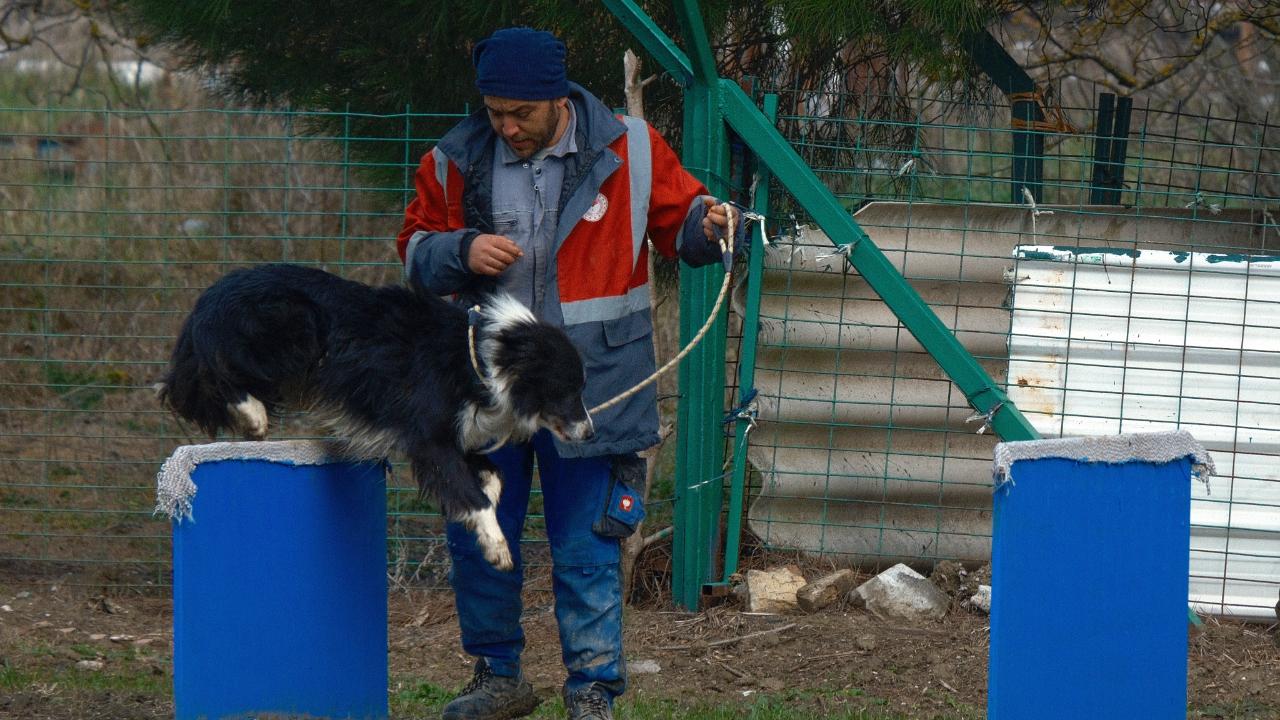 Küçükbaş çobanlarına hareketli ve heyecanlı yardımcı geliyor